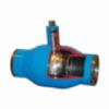 Steam Welded Ball Valve 